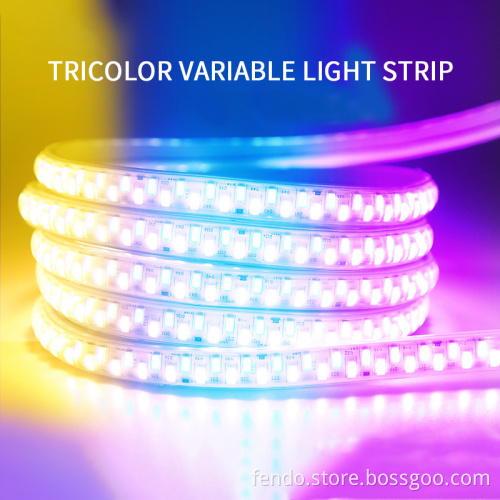 220V High Voltage 72/120LEDs RGB IP65 Double Row Flexible LED Strip for Outdoor
